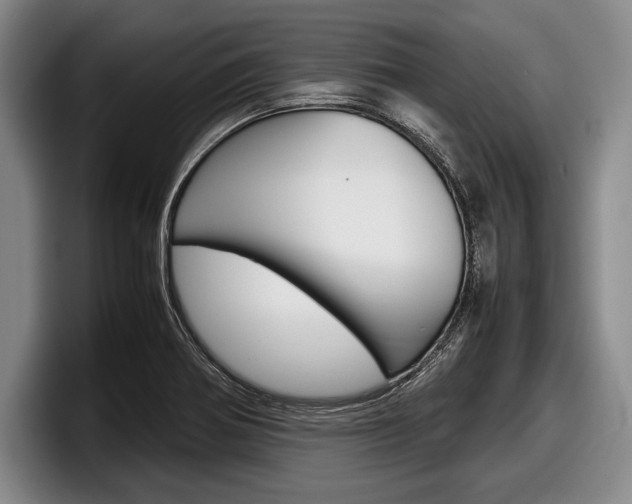 X0000098001370200803241033