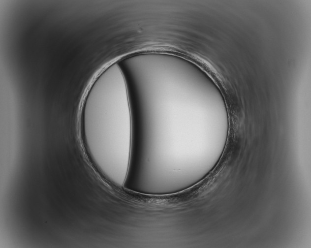 X0000098001371200803241033