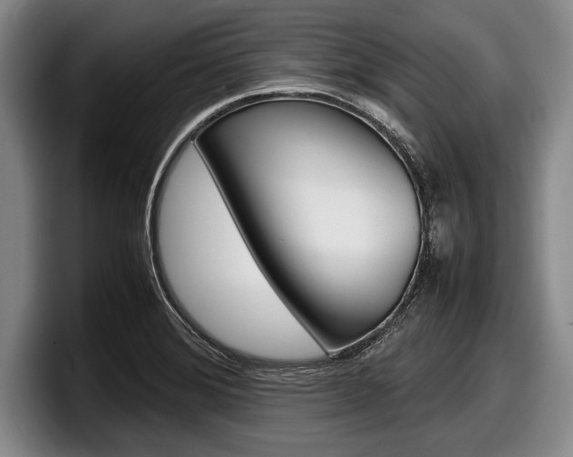 X0000098001372200803241033