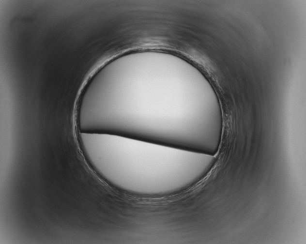 X0000098001374200803241033