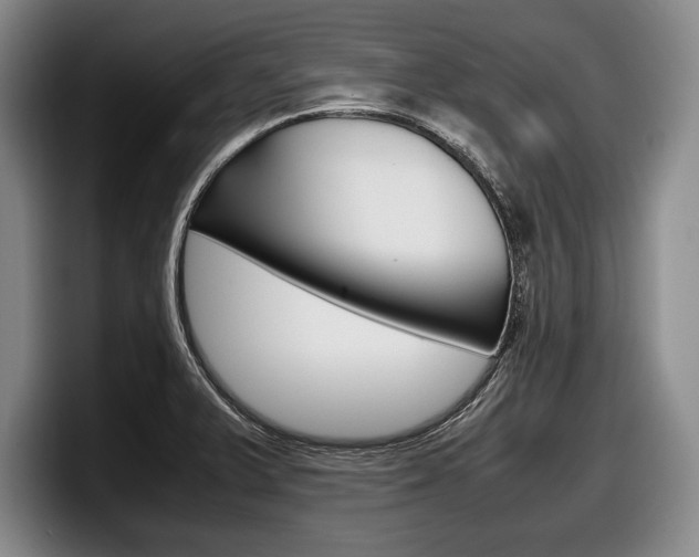 X0000098001375200803241033