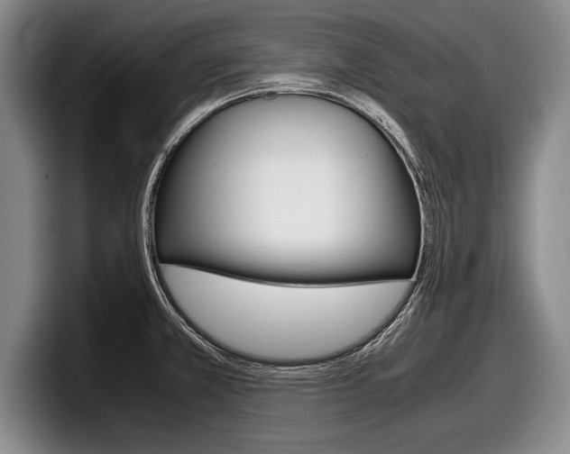 X0000098001381200803241033