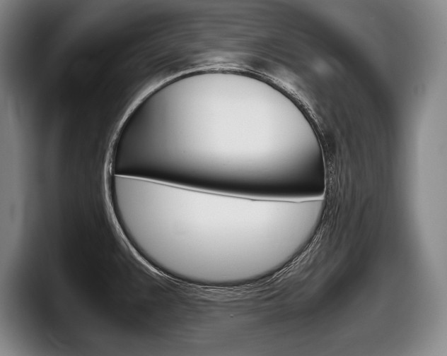 X0000098001383200803241033