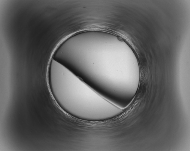 X0000098001387200803241033