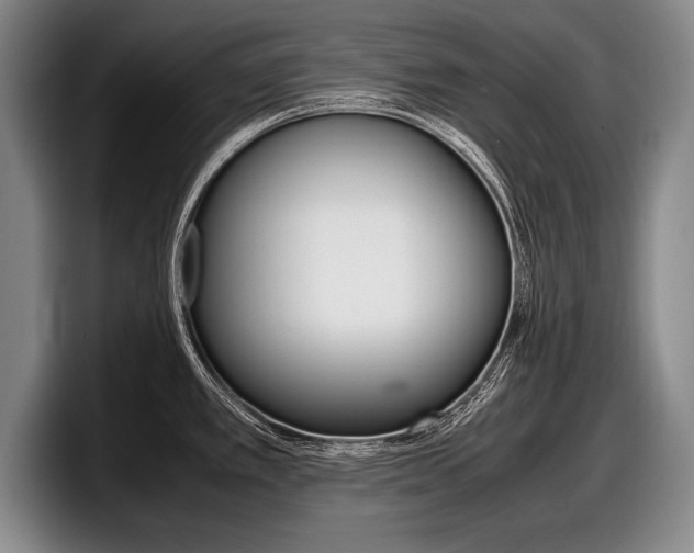 X0000098001389200803241033
