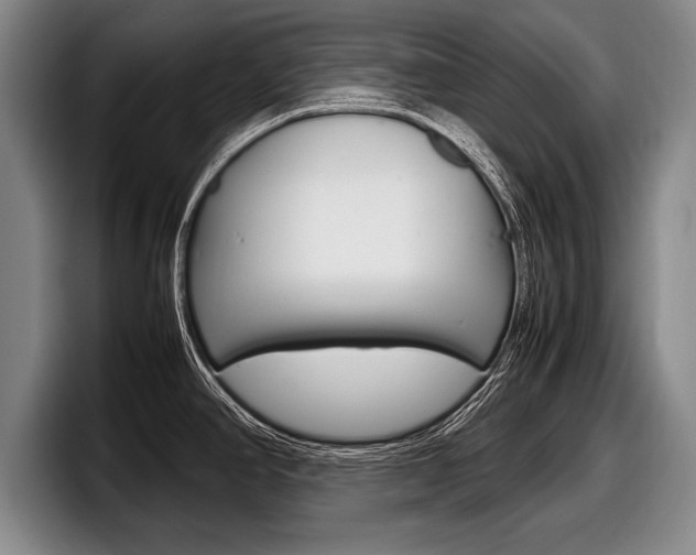 X0000098001390200803241033