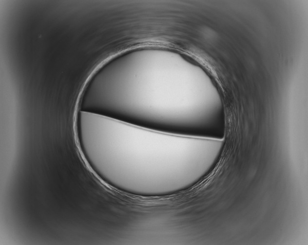X0000098001391200803241033
