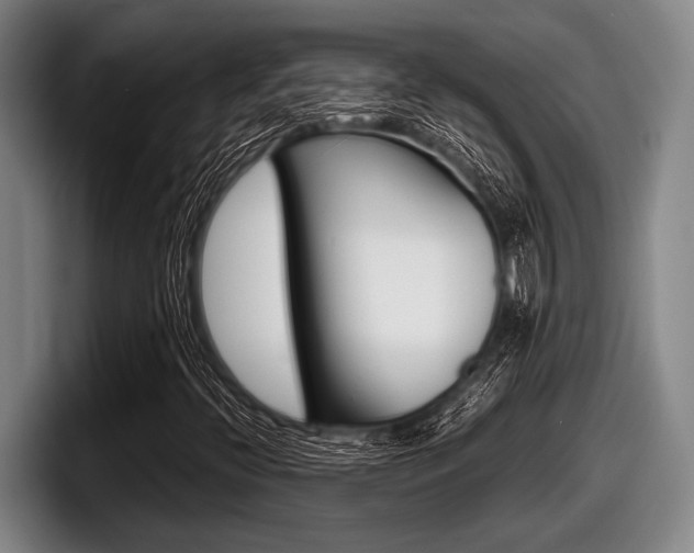 X0000098001396200803241032