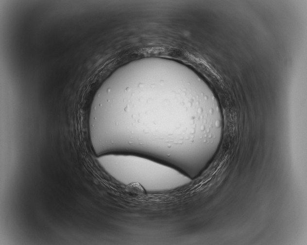 X0000098001399200803241032