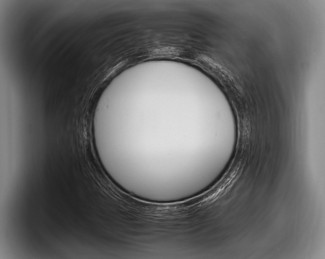 X0000098001401200803241032