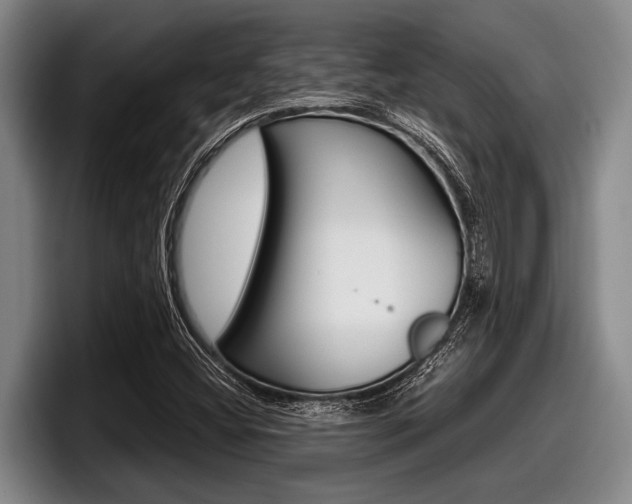 X0000098001404200803241032