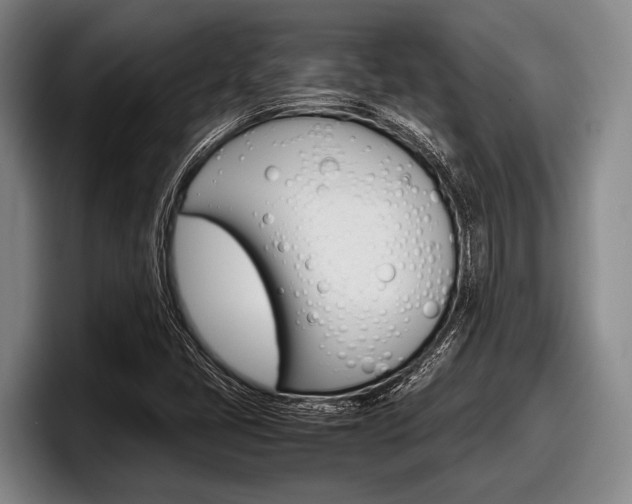 X0000098001405200803241032