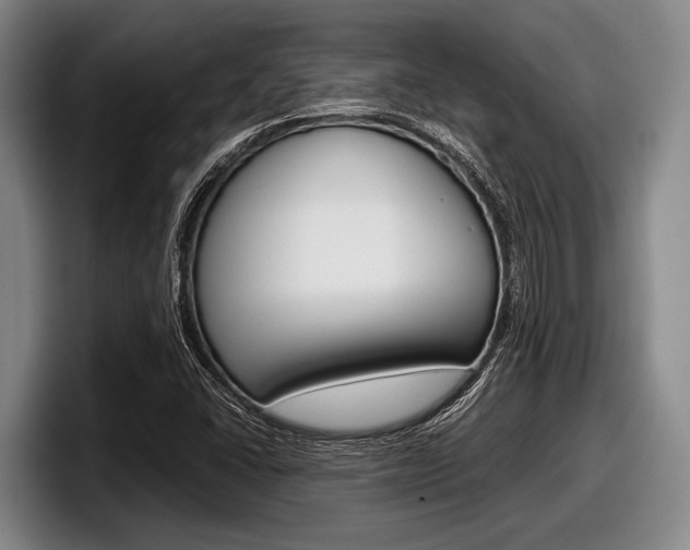 X0000098001406200803241032