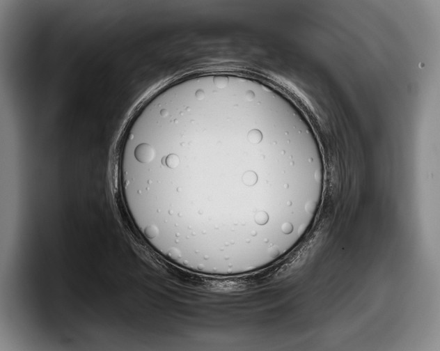 X0000098001413200803241032