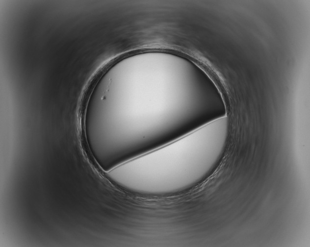 X0000098001416200803241032