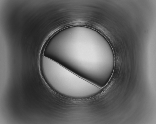 X0000098001418200803241032