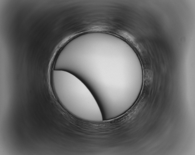 X0000098001419200803241032