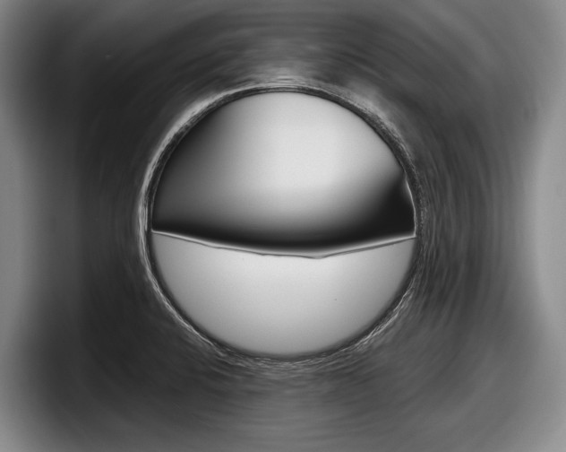 X0000098001424200803241032