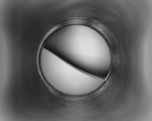 X0000098001426200803241033