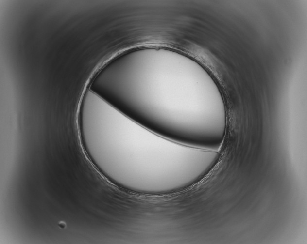 X0000098001428200803241033
