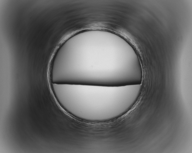 X0000098001429200803241033
