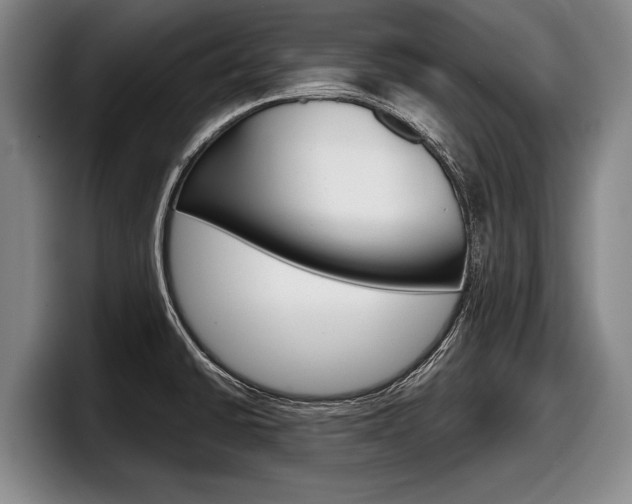 X0000098001430200803241033
