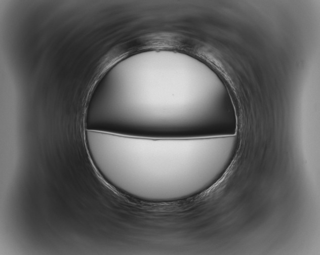 X0000098001433200803241033