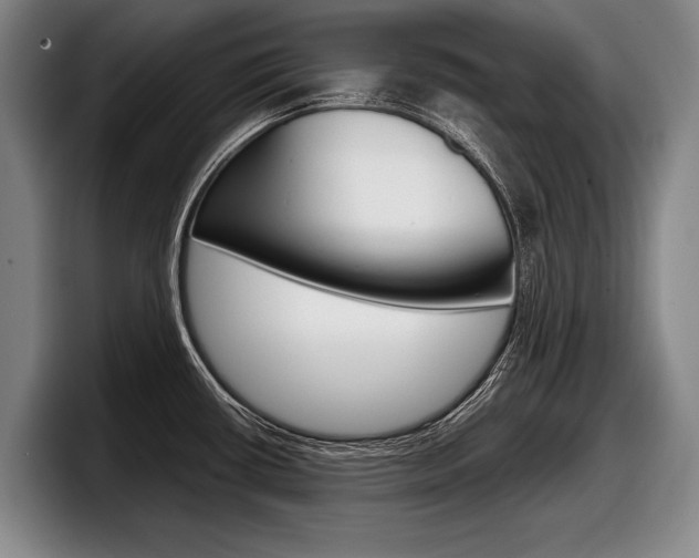 X0000098001434200803241033