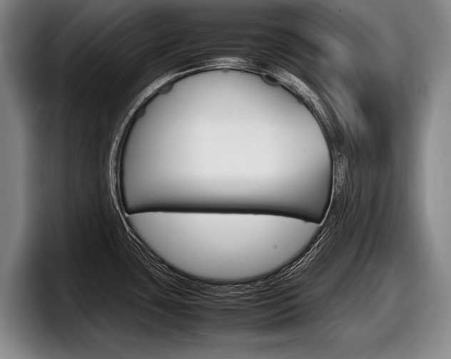X0000098001435200803241033
