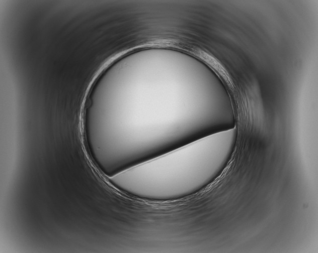X0000098001436200803241033