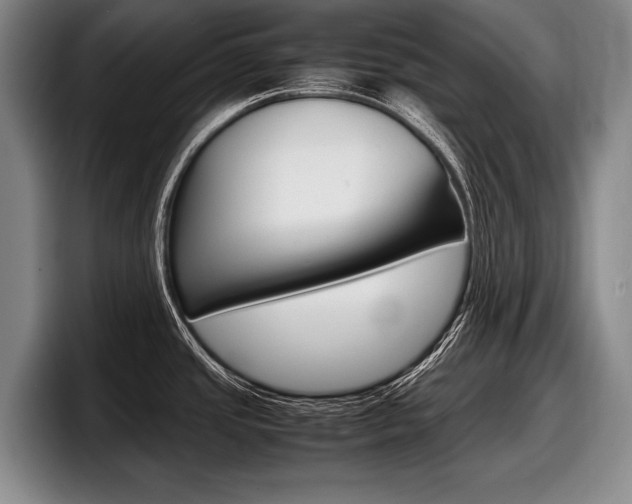 X0000098001437200803241033