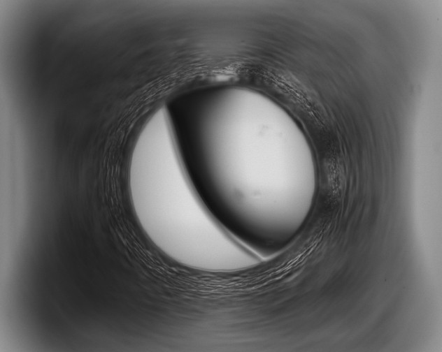 X0000098001442200803241032
