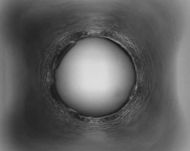 X0000098001445200803241032