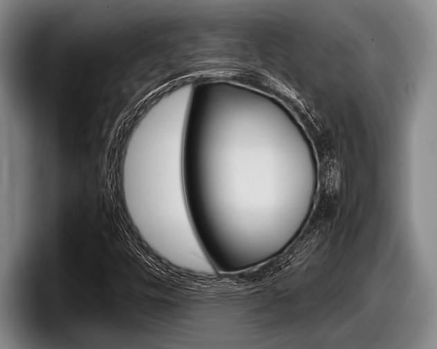 X0000098001448200803241032