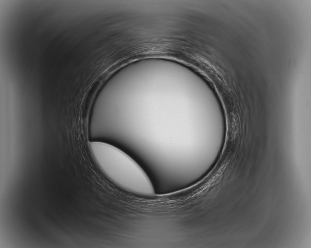 X0000098001449200803241032