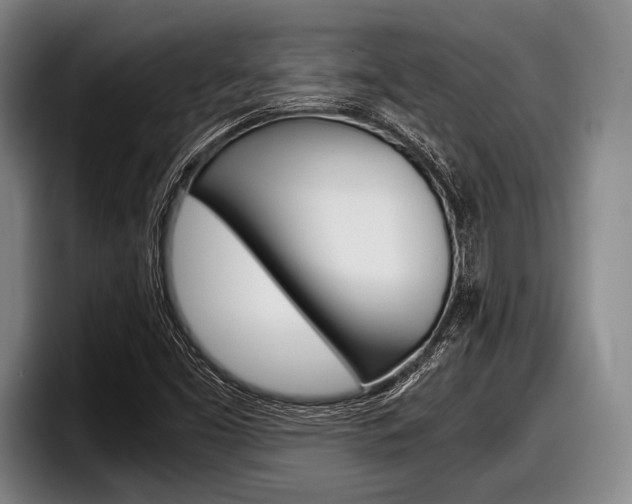 X0000098001453200803241032