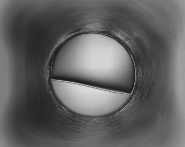 X0000098001459200803241032