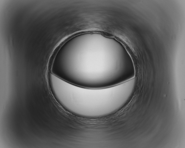 X0000098001460200803241032