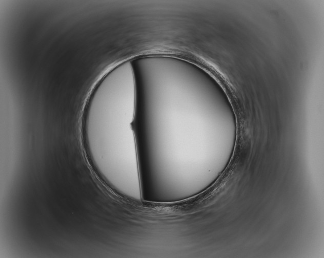 X0000098001463200803241032