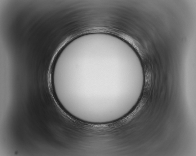 X0000098001466200803241032