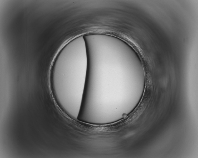 X0000098001467200803241032