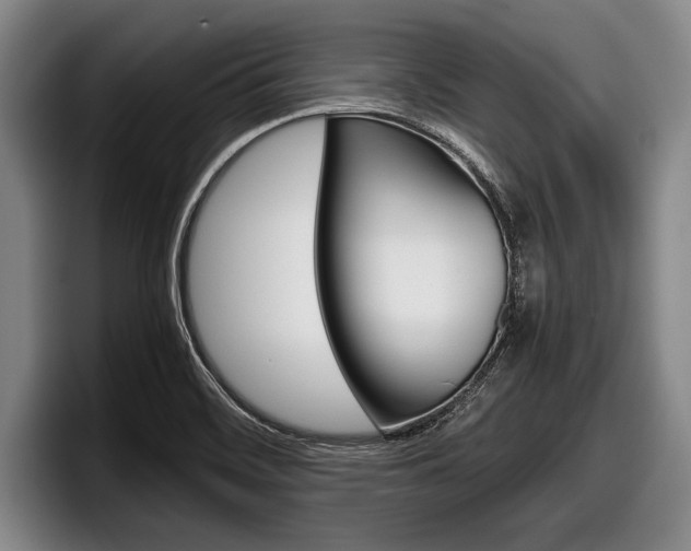 X0000098001468200803241032