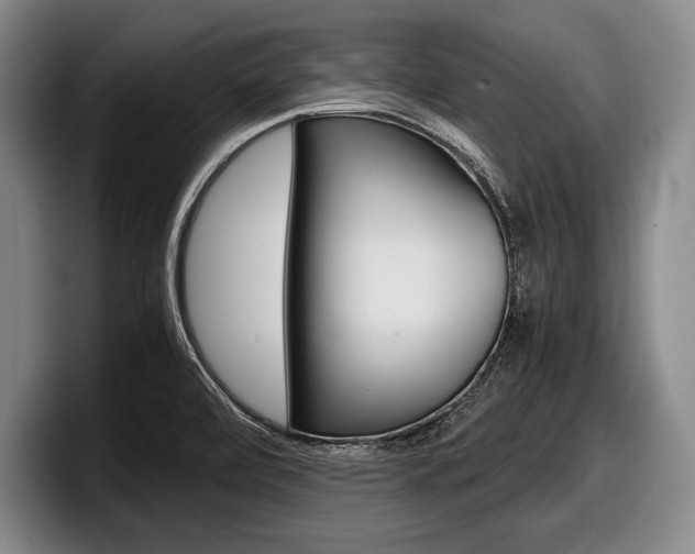 X0000098001472200803241032