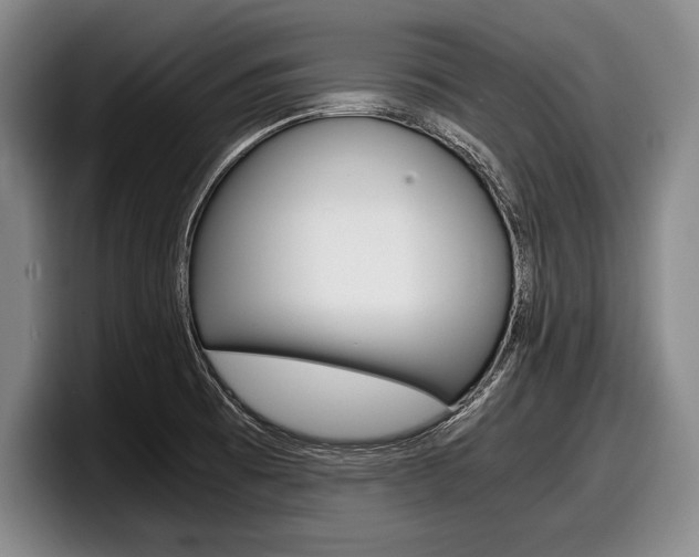 X0000098001473200803241032