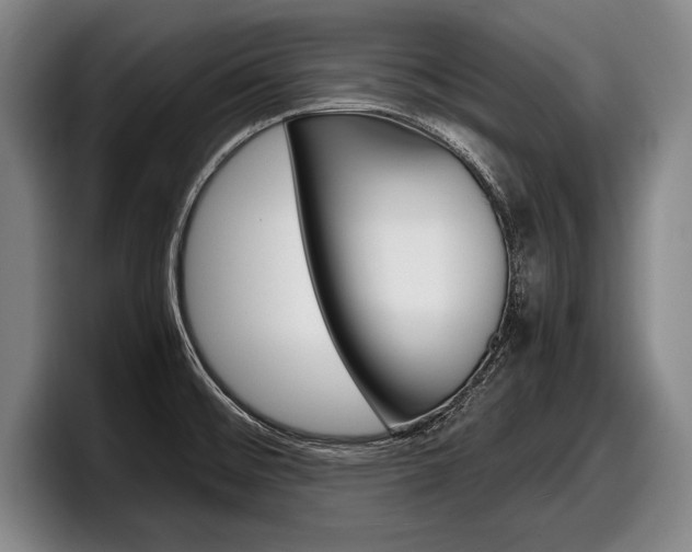X0000098001476200803241032