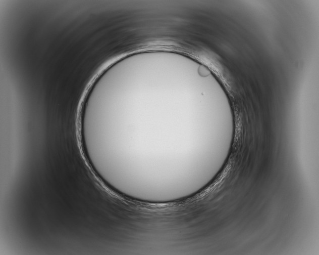 X0000098001478200803241032