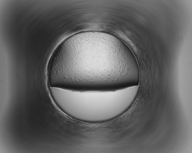 X0000098001479200803241032