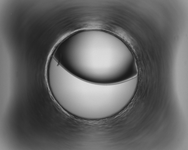 X0000098001480200803241032