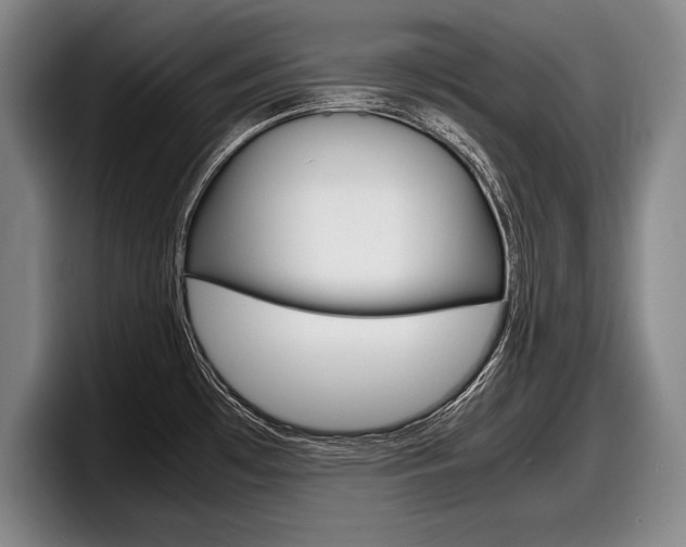 X0000098001481200803241032