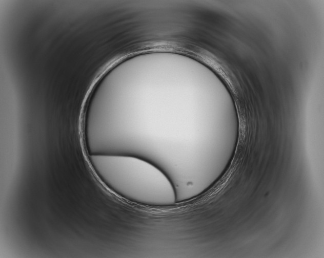 X0000098001482200803241032